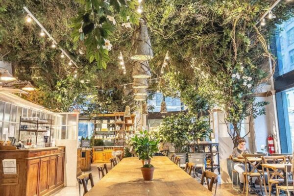 The Best Brunch Spots in New York City